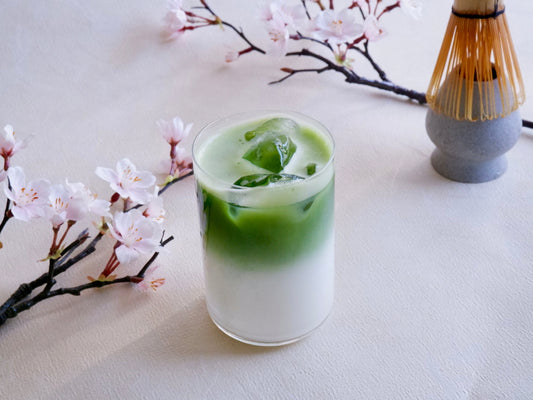 Iced Matcha Latte